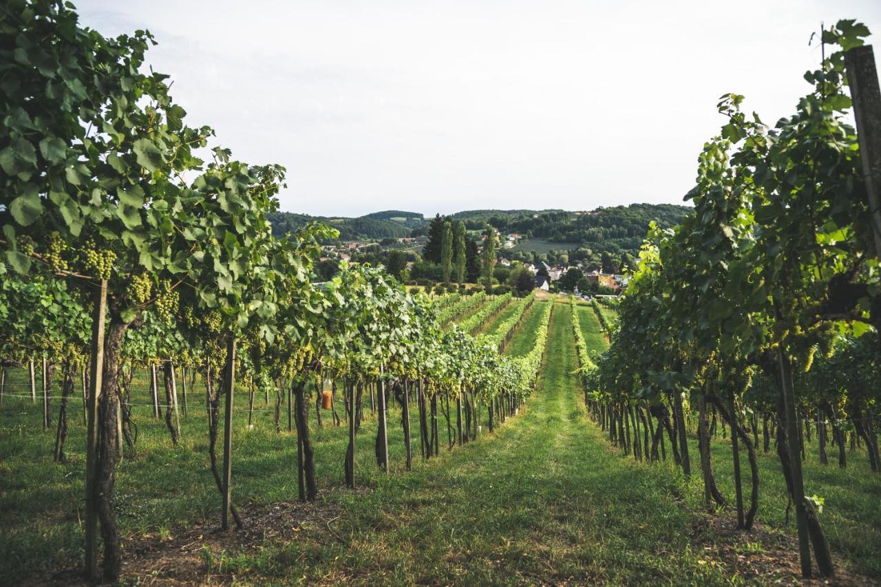 Wein & Gaestehof Erlacher Hartmannsdorf Dış mekan fotoğraf